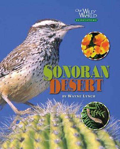 Cover image for The Sonoran Desert