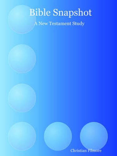 Cover image for Bible Snapshot: A New Testament Study