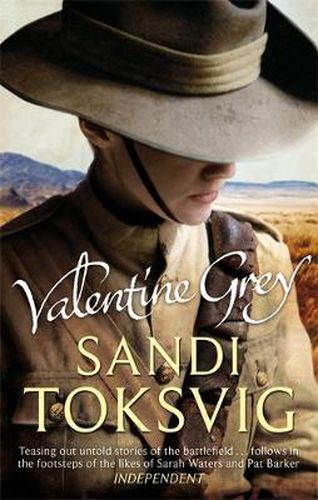 Cover image for Valentine Grey