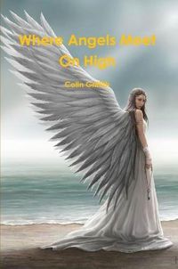 Cover image for Where Angels Meet On High