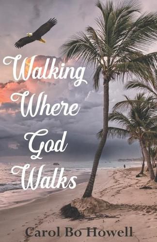 Cover image for Walking Where God Walks