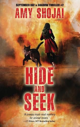 Cover image for Hide And Seek