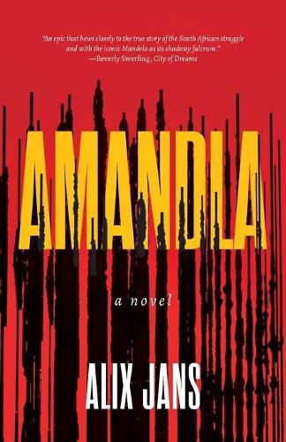 Cover image for Amandla