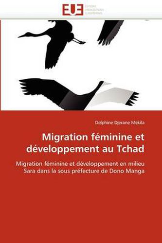 Cover image for Migration F Minine Et D Veloppement Au Tchad