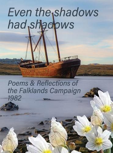 Cover image for Even the Shadows Had Shadows