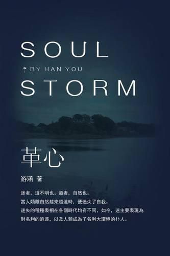 Cover image for Soul Storm