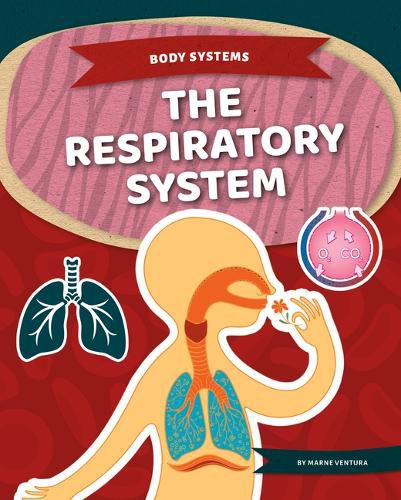 Cover image for The Respiratory System