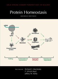 Cover image for Protein Homeostasis, Second Edition