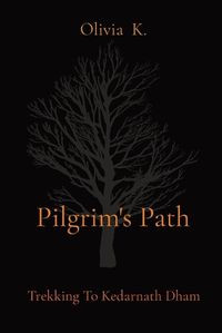 Cover image for Pilgrim's Path