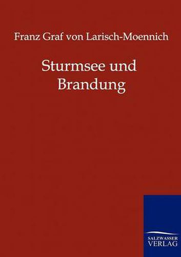 Cover image for Sturmsee und Brandung