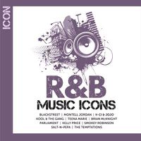 Cover image for R&B Music Icons