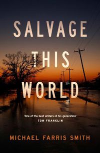 Cover image for Salvage This World