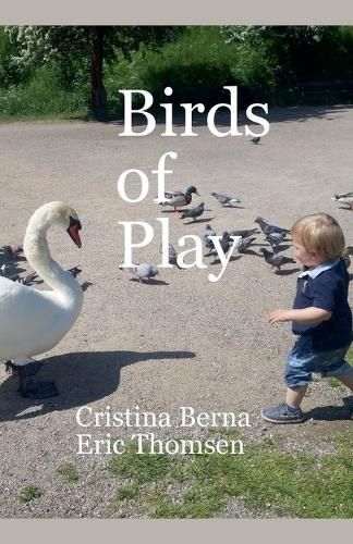 Cover image for Birds of Play