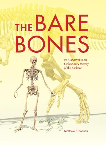 Cover image for The Bare Bones: An Unconventional Evolutionary History of the Skeleton