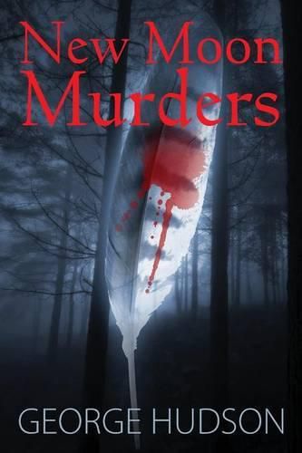 Cover image for New Moon Murders