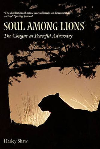 Cover image for Soul Among Lions: The Cougar as Peaceful Adversary