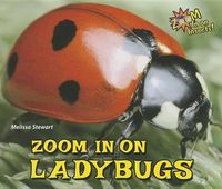 Cover image for Zoom in on Ladybugs