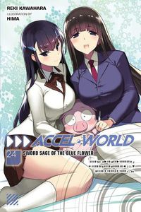 Cover image for Accel World, Vol. 24 (light novel)