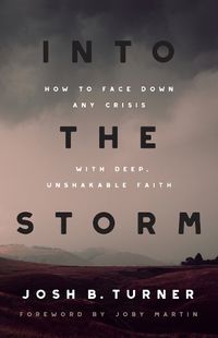 Cover image for Into the Storm