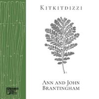 Cover image for Kitkitdizzi