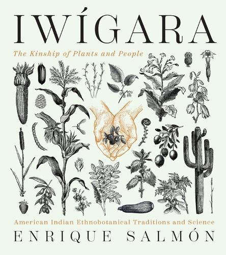 Cover image for Iwigara: American Indian Ethnobotanical Traditions and Science