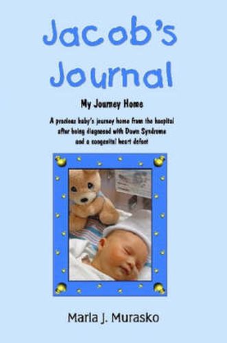 Cover image for Jacob's Journal - My Journey Home