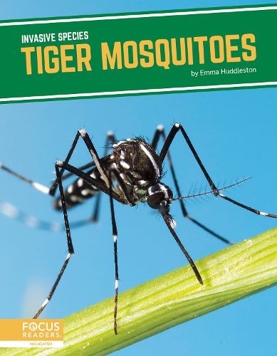 Invasive Species: Tiger Mosquitoes