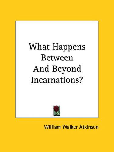 Cover image for What Happens Between and Beyond Incarnations?