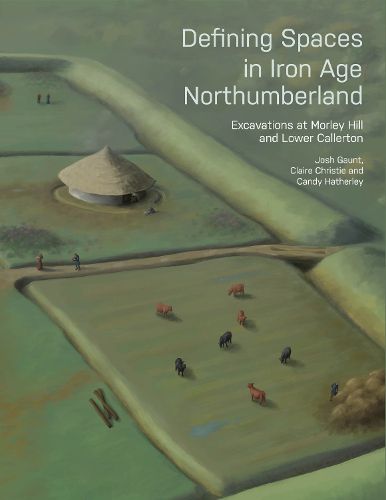 Cover image for Defining Spaces in Iron Age Northumberland: Excavations at Morley Hill and Lower Callerton