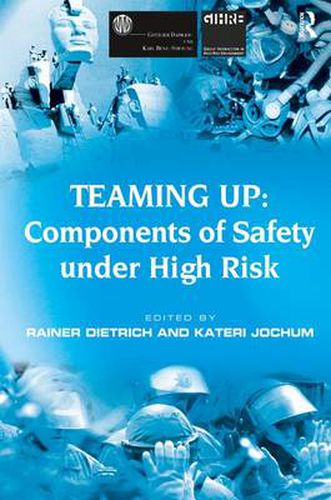 Cover image for Teaming Up: Components of Safety Under High Risk