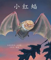 Cover image for &#23567;&#32418;&#34656; (Little Red Bat in Chinese)
