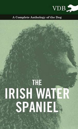 Cover image for The Irish Water Spaniel - A Complete Anthology of the Dog