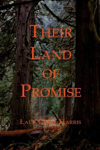 Cover image for Their Land of Promise