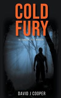 Cover image for Cold Fury