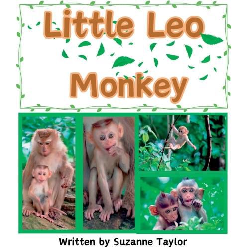 Cover image for Little Leo Monkey