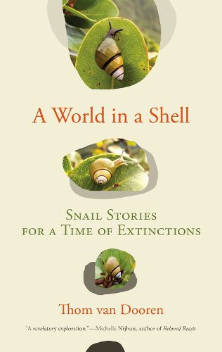 Cover image for A World in a Shell