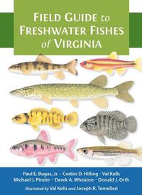 Cover image for Field Guide to Freshwater Fishes of Virginia