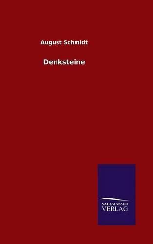 Cover image for Denksteine