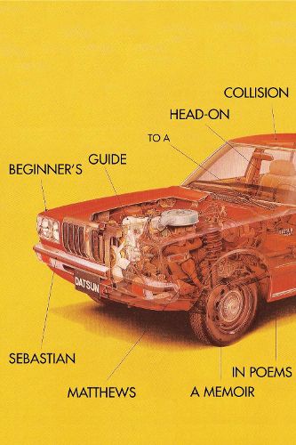 Cover image for Beginner's Guide to a Head-On Collision