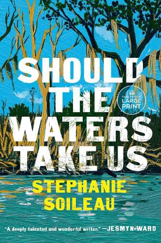 Cover image for Should the Waters Take Us