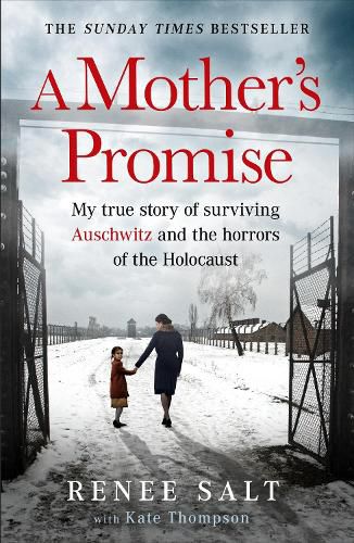 Cover image for A Mother's Promise