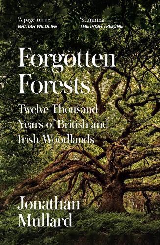 Cover image for Forgotten Forests