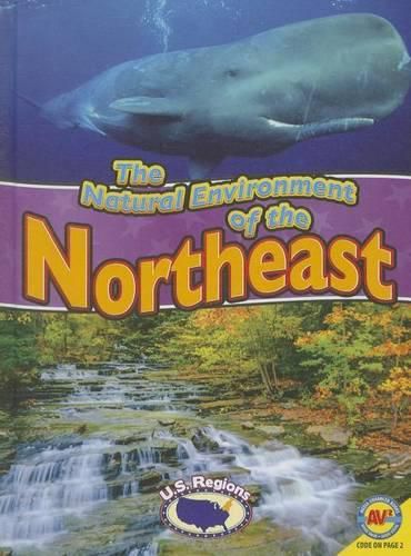 Cover image for The Natural Environment of the Northeast