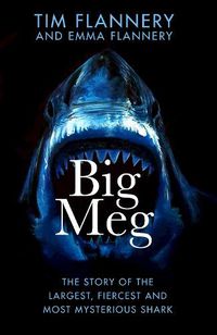 Cover image for Big Meg