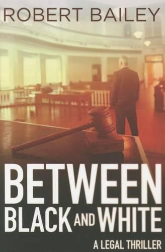 Cover image for Between Black and White