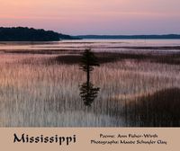 Cover image for Mississippi