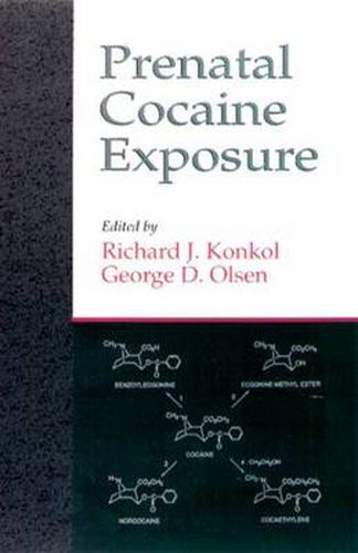 Cover image for Prenatal Cocaine Exposure