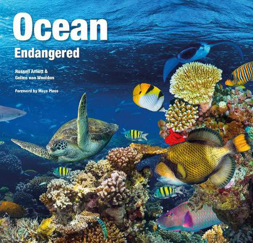 Cover image for Ocean: Endangered