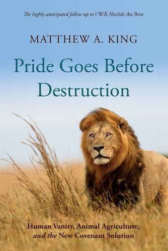 Cover image for Pride Goes Before Destruction