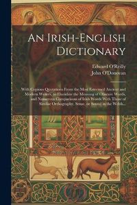 Cover image for An Irish-English Dictionary